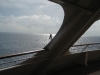 Monarch (36)